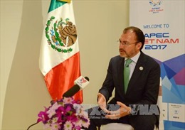 APEC 2017: Mexico đánh giá cao chương trình nghị sự do Việt Nam đề xuất tại APEC 2017 